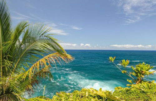 Oceanfront Treehouse at Hakalau with Kitchen - Foto 44