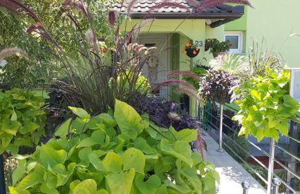 Studio apartman GRIZZLY - Foto 27