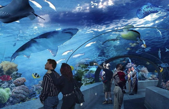 Lavish Suites - Two Bedroom Loft - Downtown Toronto - Foto 5