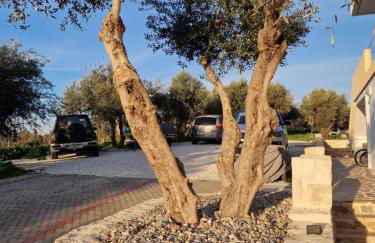 Olive Grove Apartment - Photo 37