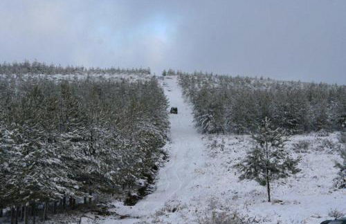 Ninho do Melro - Turismo Rural Bragança - Foto 53