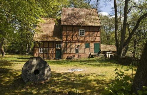 Muehlenhof-Soderstorf-Wohnung-A - Foto 8