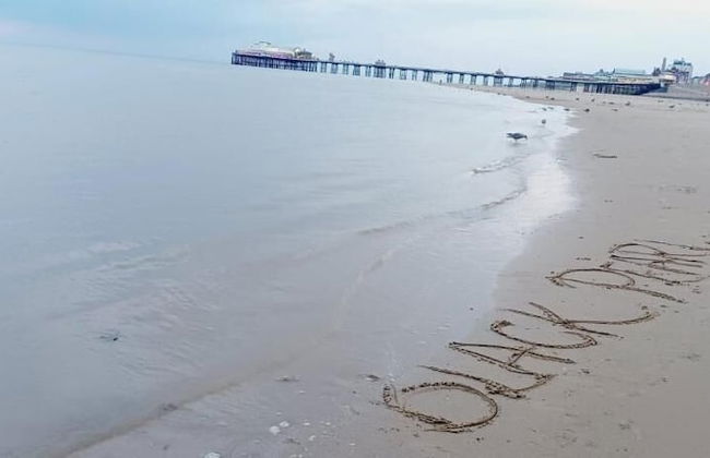 Black Pearl Luxury Apartments - Photo 42