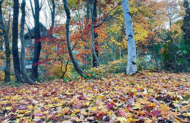 Hakuba Canadian Lodge - Foto 66