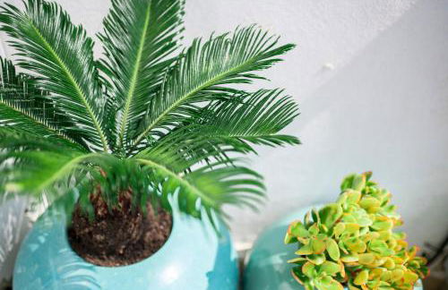 El Portet Moraira Apartment Ella - Foto 10