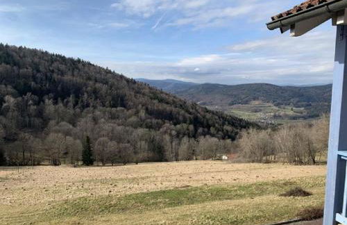 Ferienland Sonnenwald Studio 50 - Foto 29