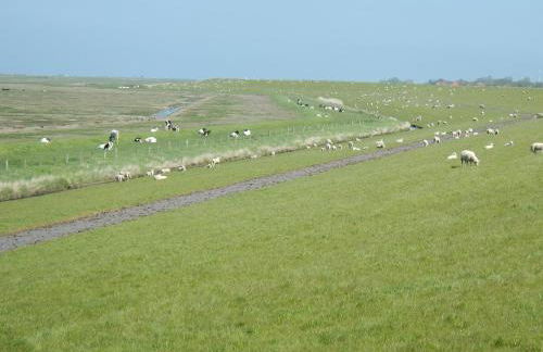 Ferienwohnung Kornew - Foto 62