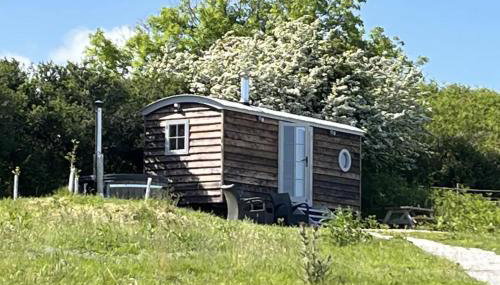 The Daffodil Hut - Foto 3