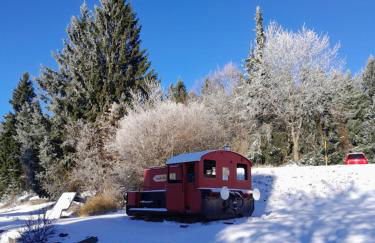 Ferienwohnung Marina in Sankt Englmar, Bayerischer Wald, familienfreundlich - Foto 23