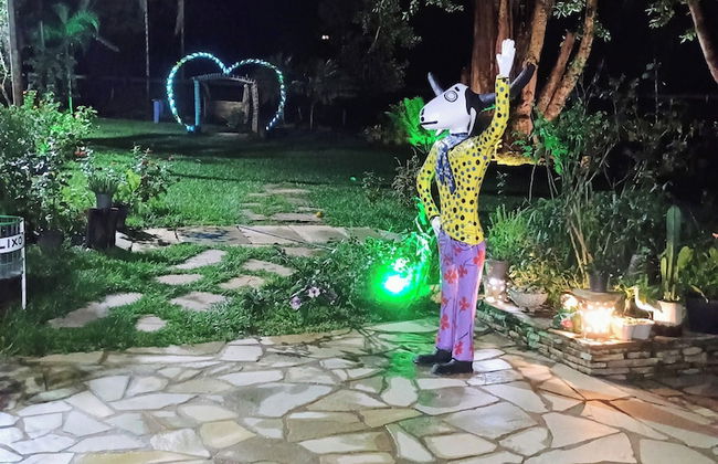 Hotel Fazenda Aguas VIvas - Foto 25