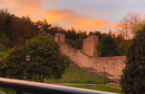 EL CAPRICHO DEL ARCO_Apartamentos Burgos Catedral - Foto 41