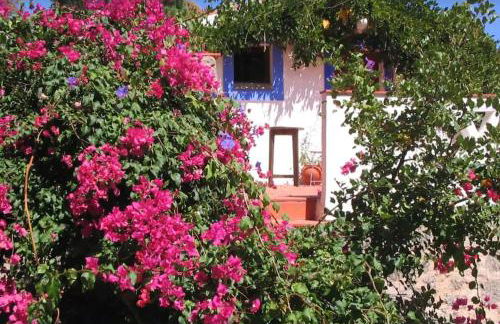 Quinta Da Relva - A traditional farmhouse in a stunning location - Foto 41