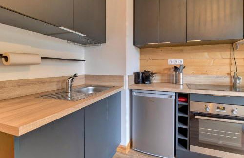 A 4, découverte de la montagne - 80m des pistes - Foto 11