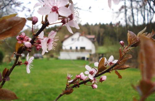 Wald-Apartment - Foto 54