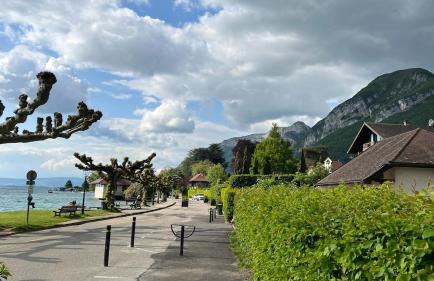 Apartment near Lake Annecy - Foto 41