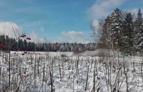 Ferienwohnung Bienenherz - Foto 26