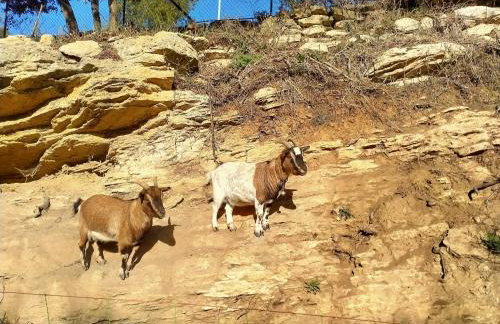 Gîte du domaine de l'Arbre de Vie - Foto 20