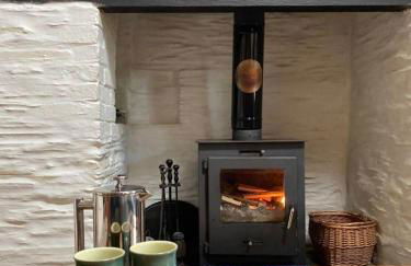 Pretty sunny cottage, Machynlleth - Photo 40