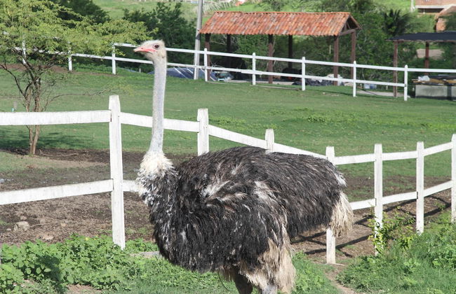 Hotel Portal de Gravatá - Foto 12