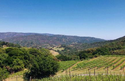 Napa Vineyard with Stunning Views By Allevo Homes - Foto 1