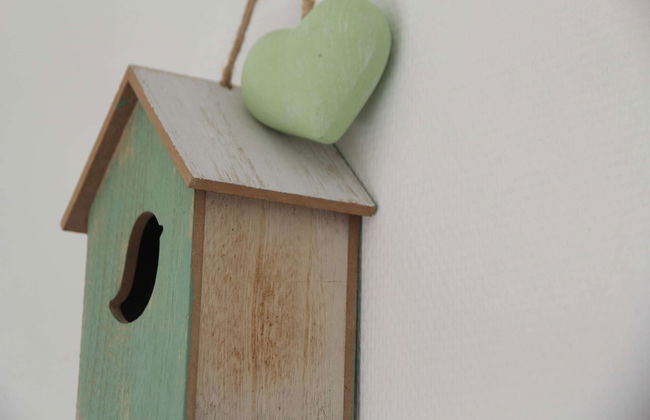 Rustic Bungalow in North Holland near Forest - Foto 22