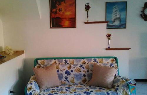 Rosemary Flavor - Foto 8