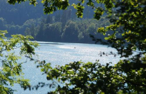 Holzhaus Hubertus mit Sauna und Kamin - Foto 29