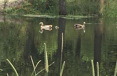 Altmarkblick - Foto 11