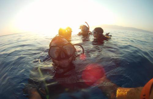 Paradise Studios - Foto 78