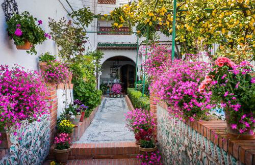 GRAZARIEs 1 -Piso Céntrico Granada- - Foto 31