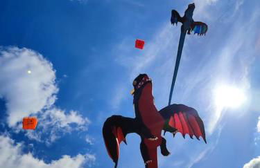 Le Champenois, plage et calme - Photo 13