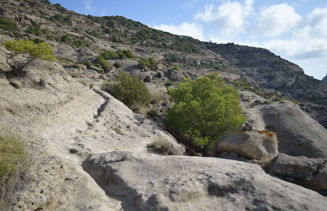 Apartamentos Parque Ardales - Photo 14