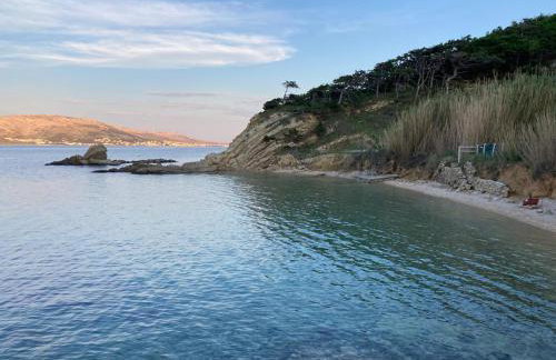 Apartmani Fijan - Photo 36