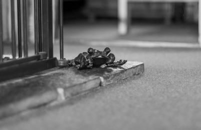 Loch Insh Chalets and Apartments - Foto 65