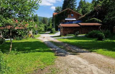 Waldbach-Oase - Foto 17