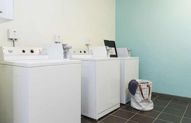 WINK Quiver Tree - Foto 45