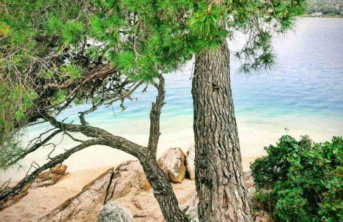 Villa Rina - Foto 31