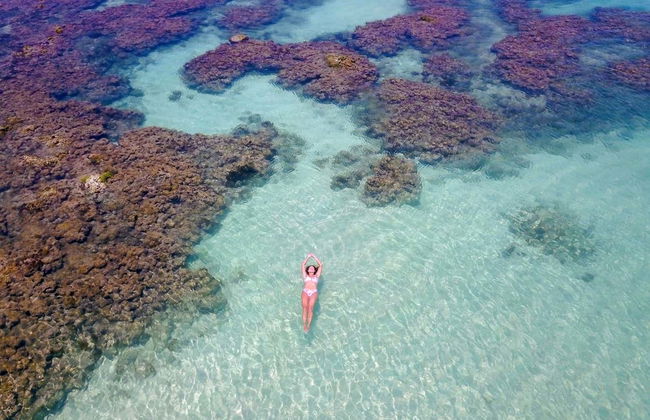Paseo en barco por las piscinas naturales de Maragogi - Foto 3