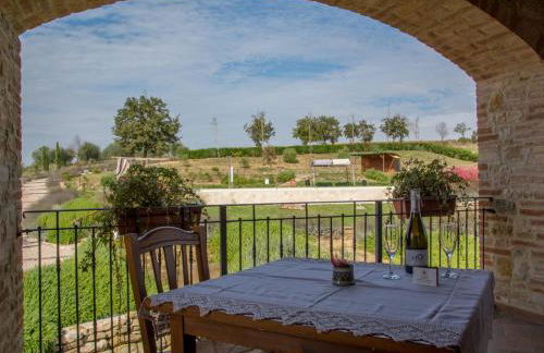 Agriturismo San Silvestro - Foto 49