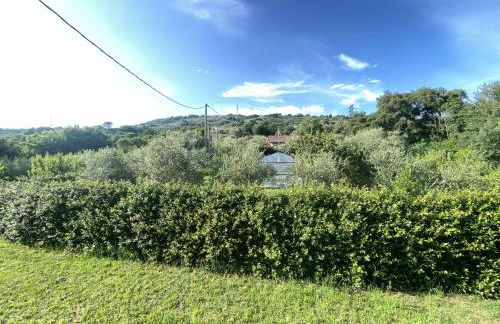 Casa Di Campagna tra borghi e castelli - Foto 22