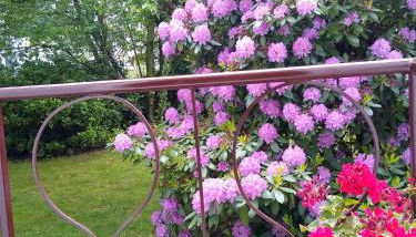 Alster City Garden Villa - Foto 5, Garden, Garden view