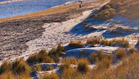 Beach house - Photo 3