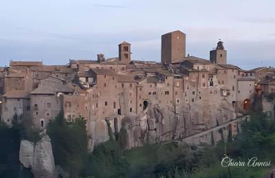 La Bouganville - Foto 53