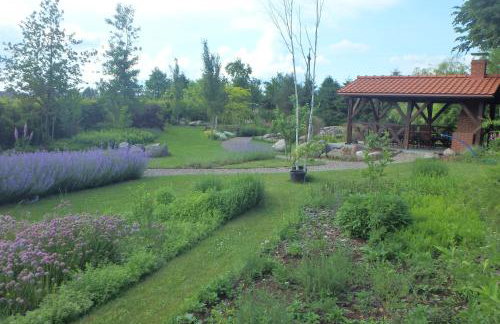 U Aptekarzy - Foto 44