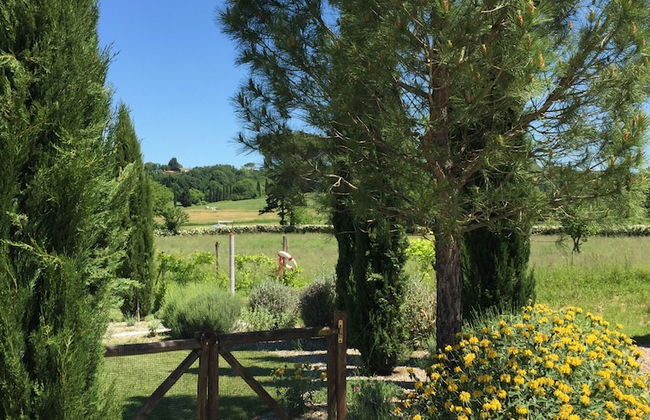 Rinidia Bio - Foto 68