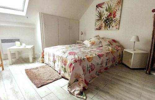 Le Cocon rouge - studio en plein centre historique - Photo 1