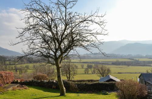 The Tottsie - Foto 16