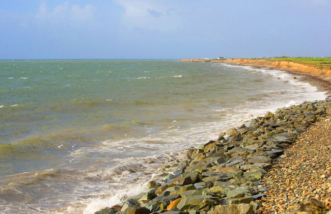 Saltee View Holiday Home - Foto 31