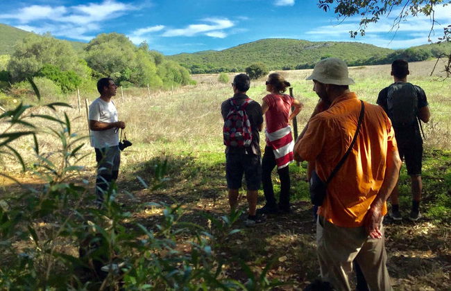 Senderismo por el Parque Natural de Arrábida - Foto 7