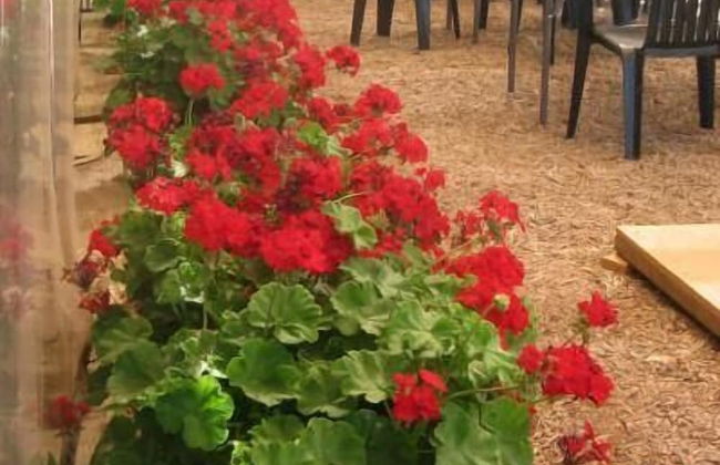 Stone Hut Cottage - Foto 9